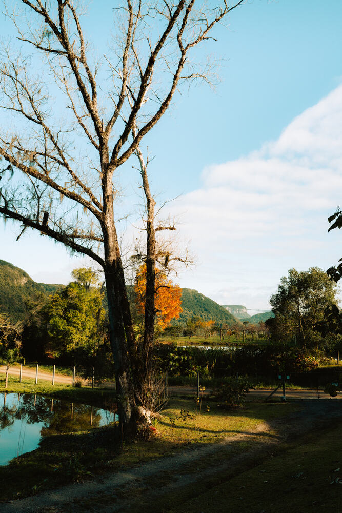 Árvore e lagoa do Sítio Álamo Negro ao entardecer, com montanhas ao fundo